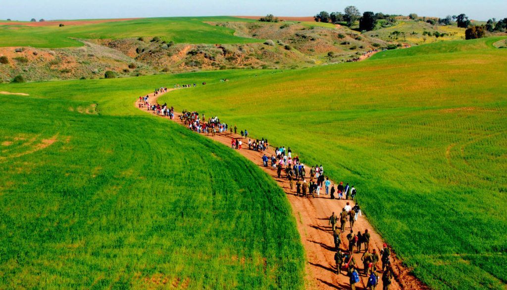 דרום אדום 2017 – טיולים מאורגנים