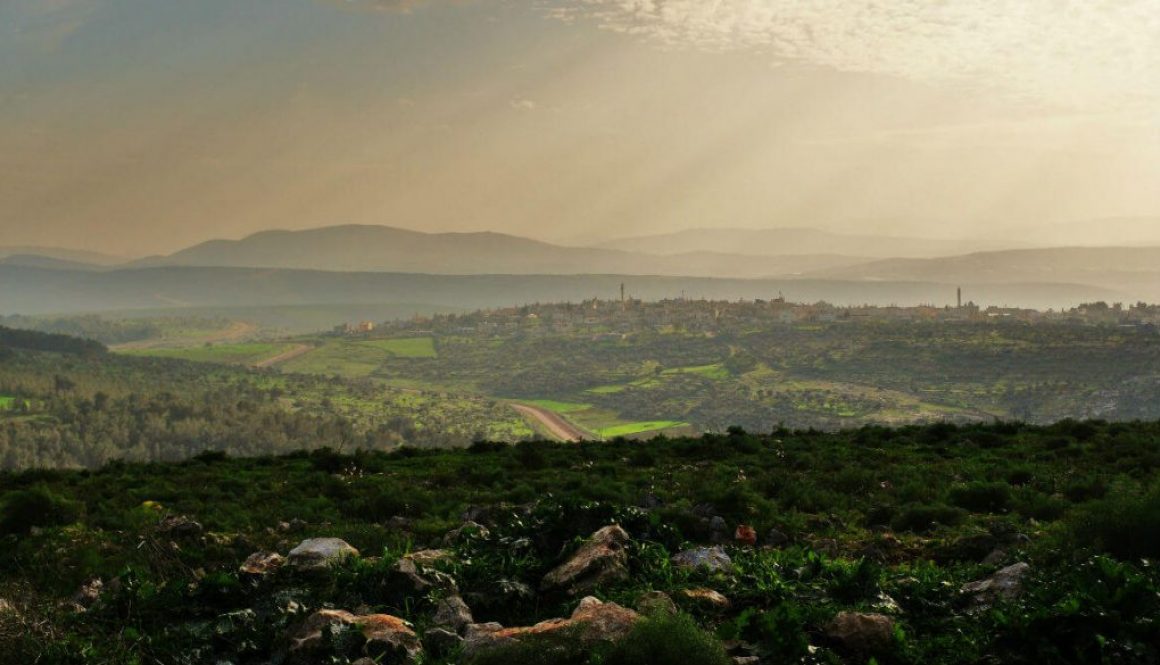 טיולים מאורגנים לאזור הצפון