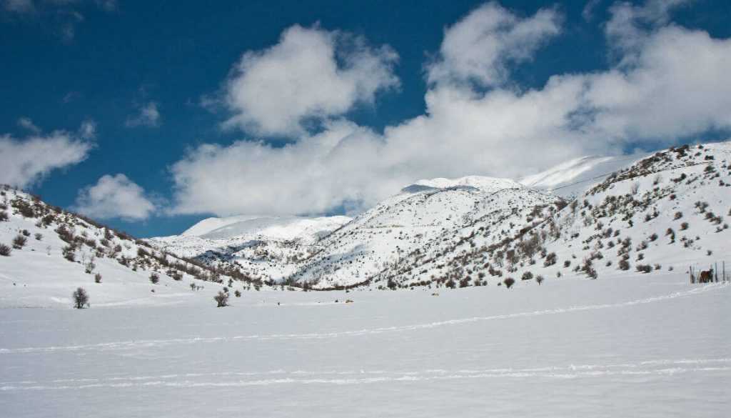 טיולים מאורגנים לאתר החרמון