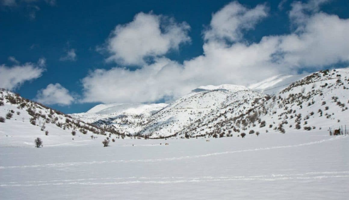 טיולים מאורגנים לאתר החרמון