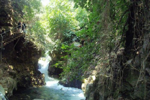 שמורת טבע נחל חרמון (בניאס)