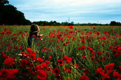 דרום אדום 2017